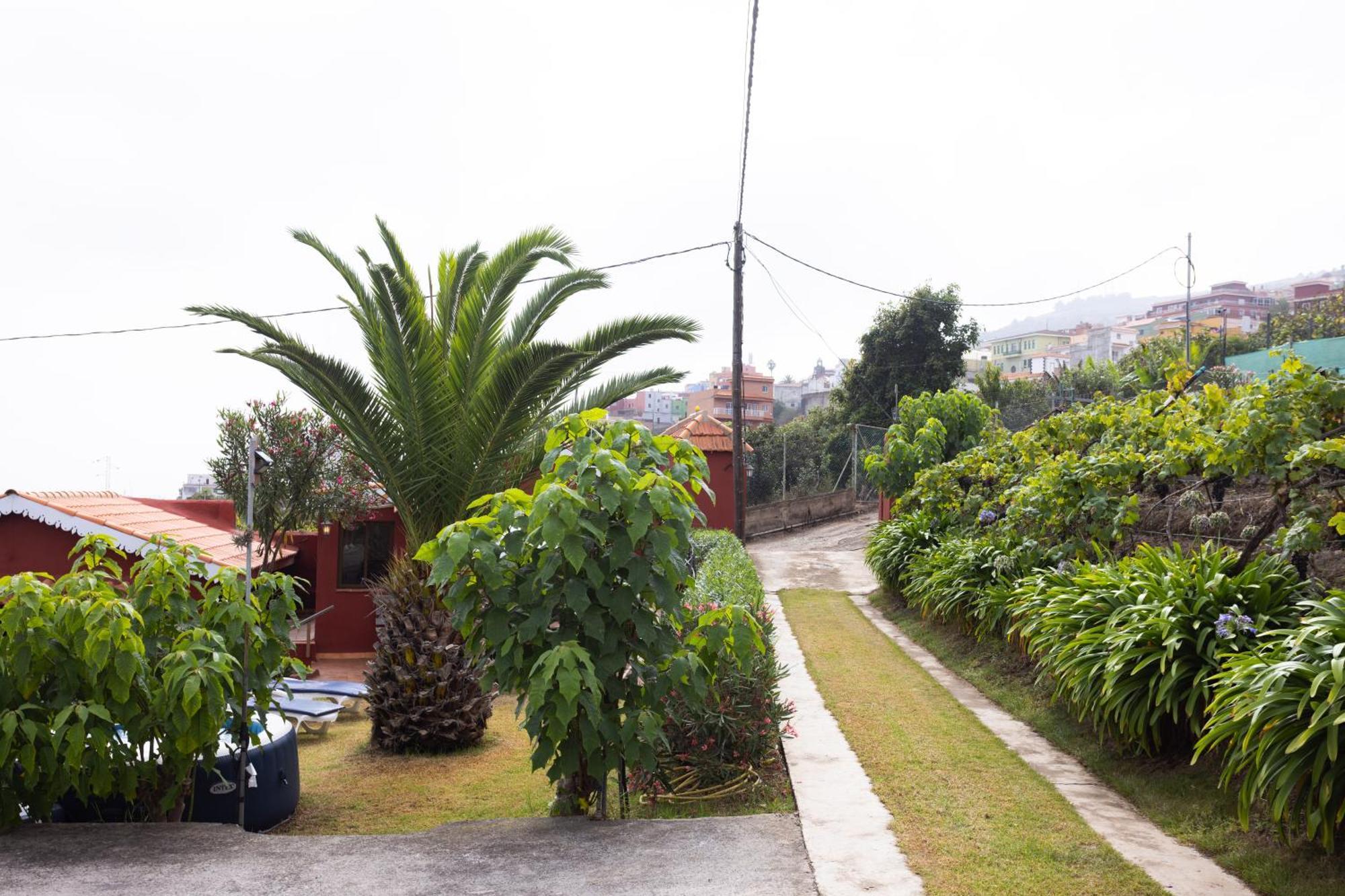 Home2Book Serene Retreat Isabel, Jacuzzi & Garden Icod el Alto Extérieur photo